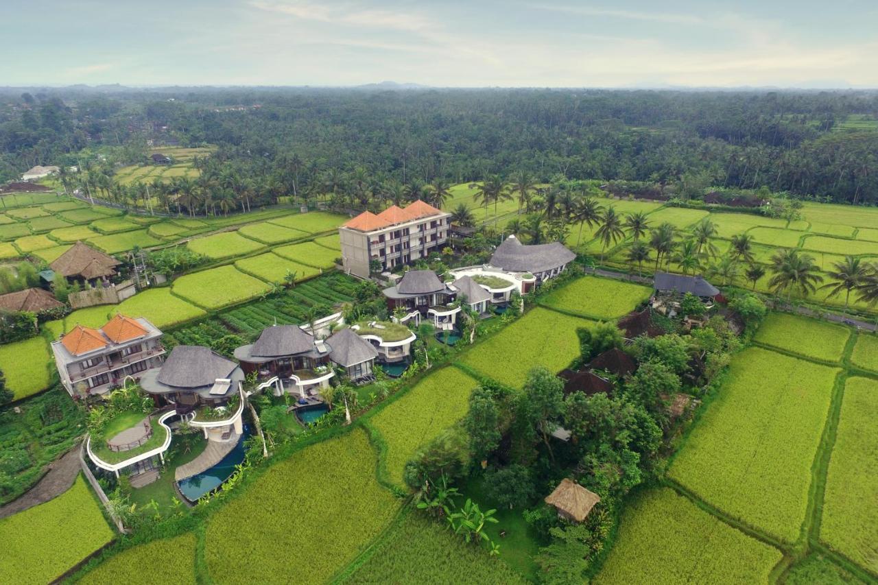 Mango * Ubud (Bali)